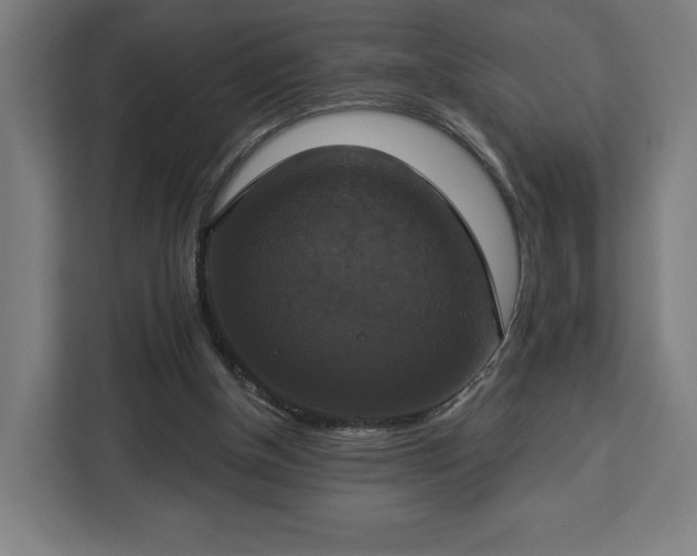 X0000112910154200908311244