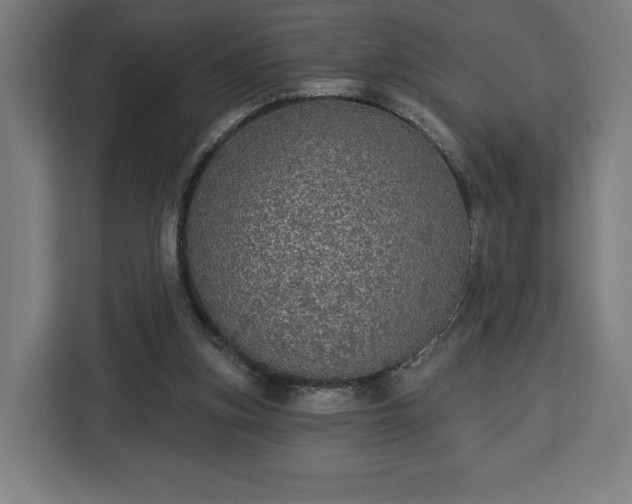 X0000112910155200908311244