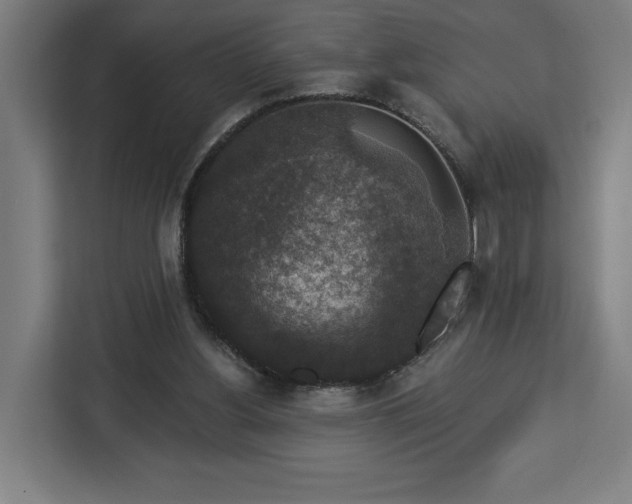 X0000112910156200908311244