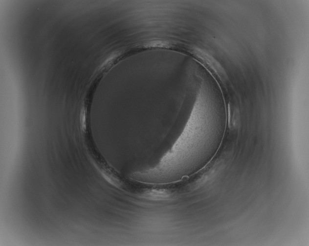 X0000112910157200908311244