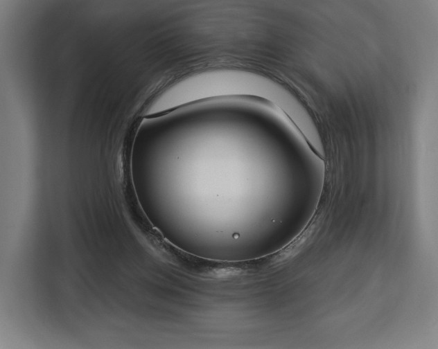 X0000112910158200908311244