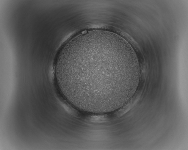 X0000112910160200908311244