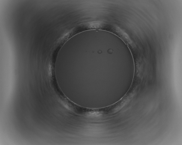 X0000112910161200908311244