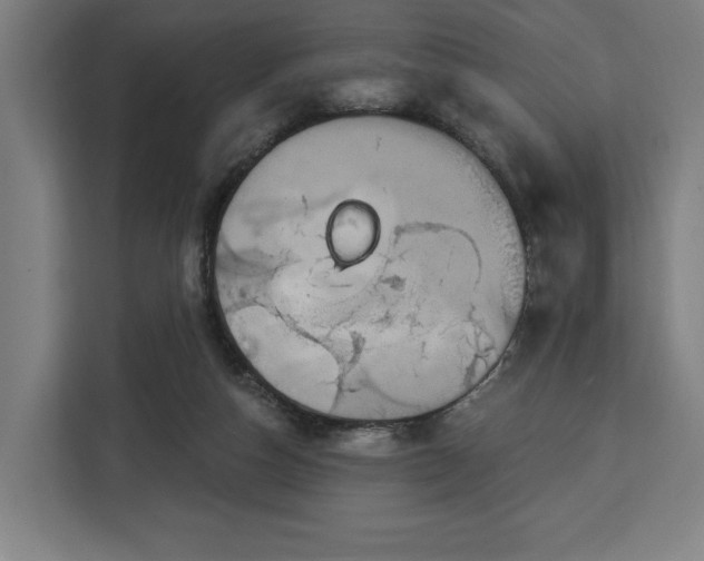 X0000112910162200908311244