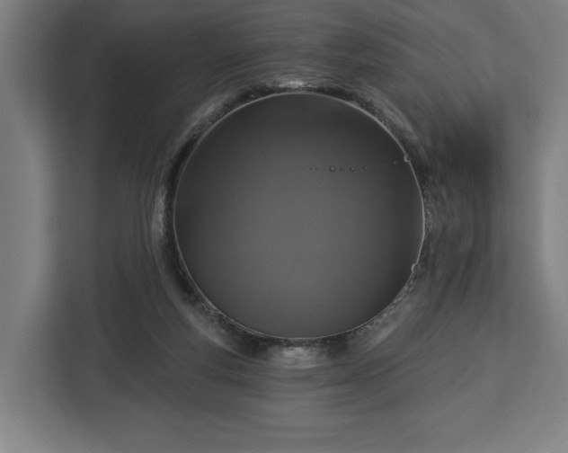 X0000112910163200908311244