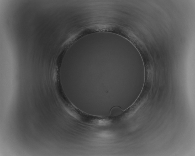 X0000112910165200908311244