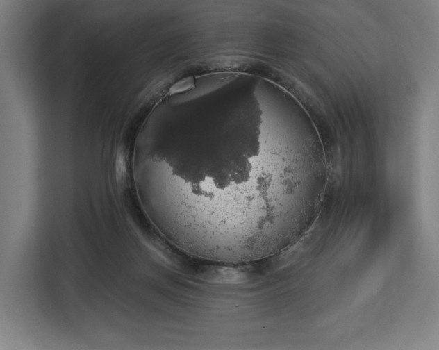 X0000112910166200908311244