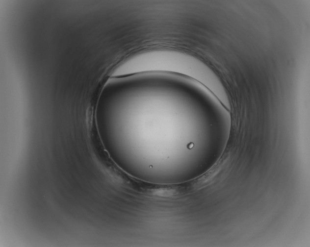 X0000112910168200908311244