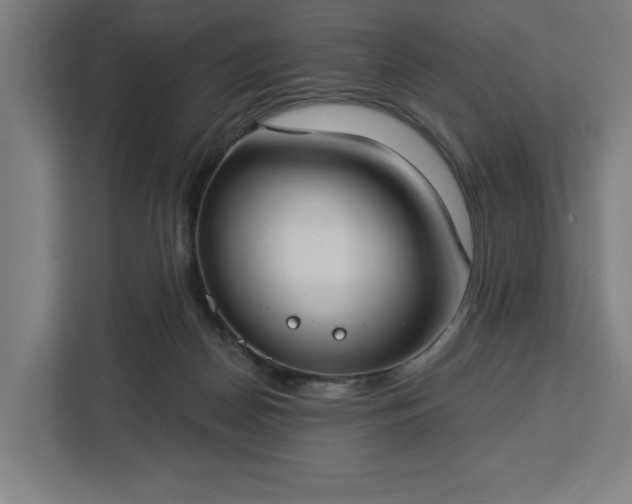 X0000112910170200908311244