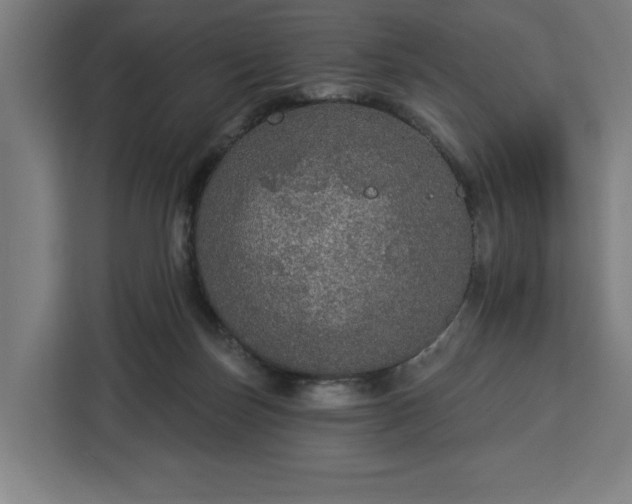 X0000112910171200908311244