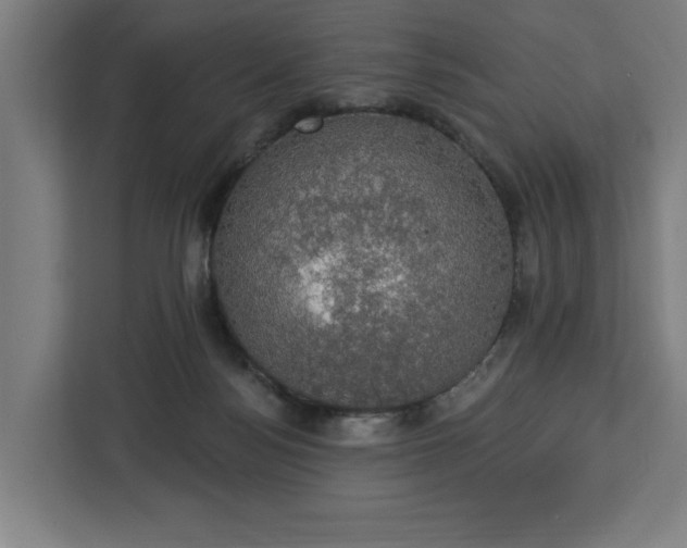 X0000112910172200908311244