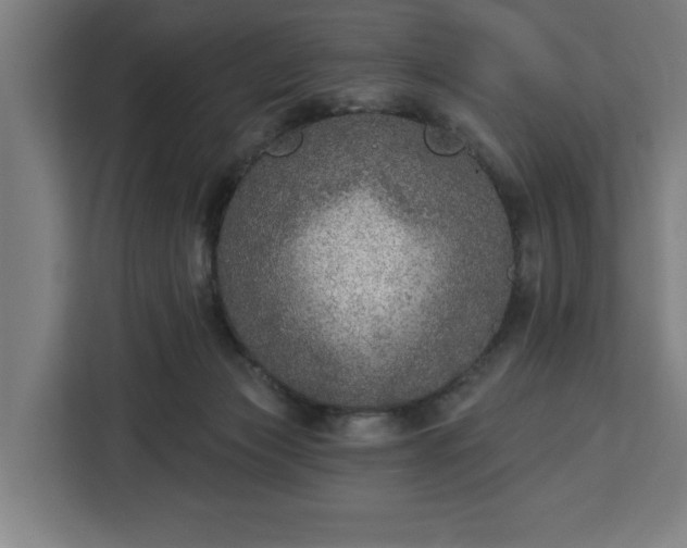 X0000112910173200908311244