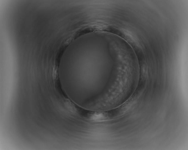 X0000112910177200908311244