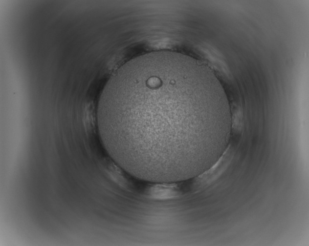 X0000112910179200908311244