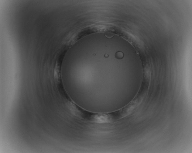 X0000112910181200908311244