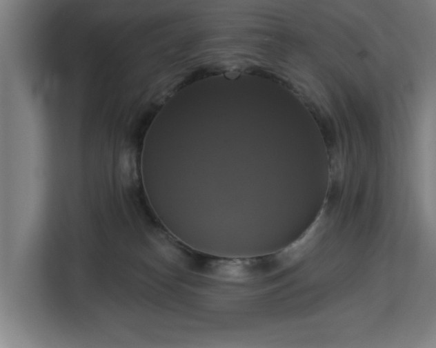 X0000112910182200908311244