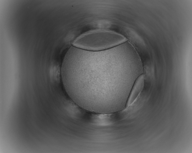 X0000112910184200908311244