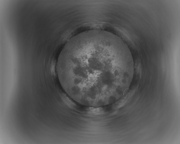 X0000112910185200908311244