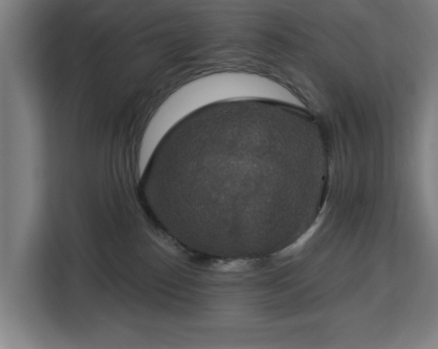 X0000112910186200908311244