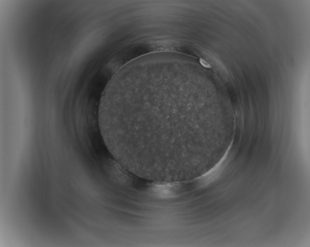 X0000112910190200908311244