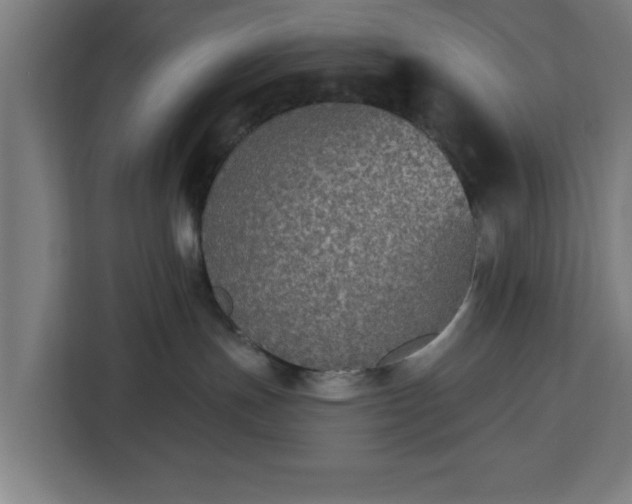 X0000112910191200908311244