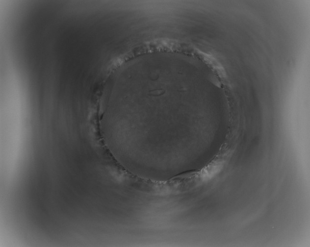 X0000112910192200908311244