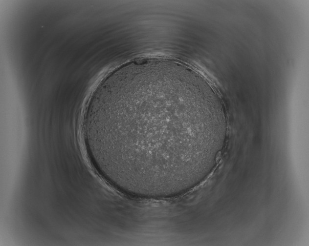 X0000112910193200908311244