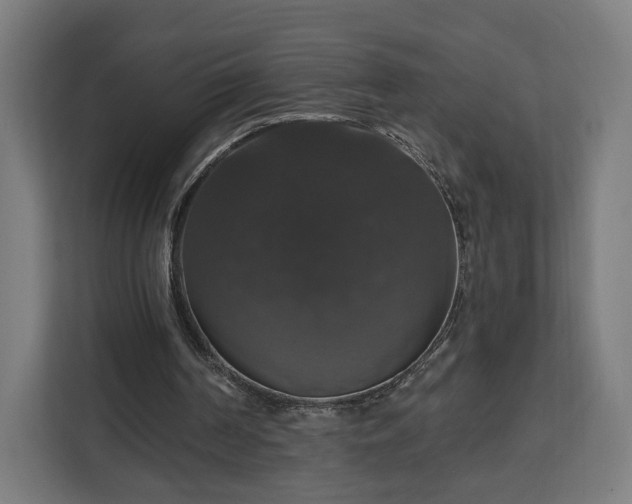 X0000112910194200908311244