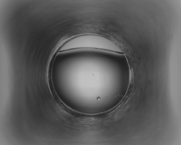 X0000112910195200908311244