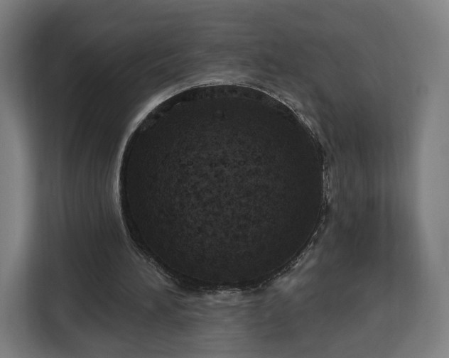 X0000112910196200908311244