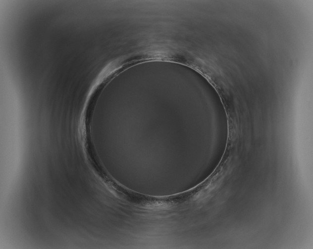 X0000112910198200908311244