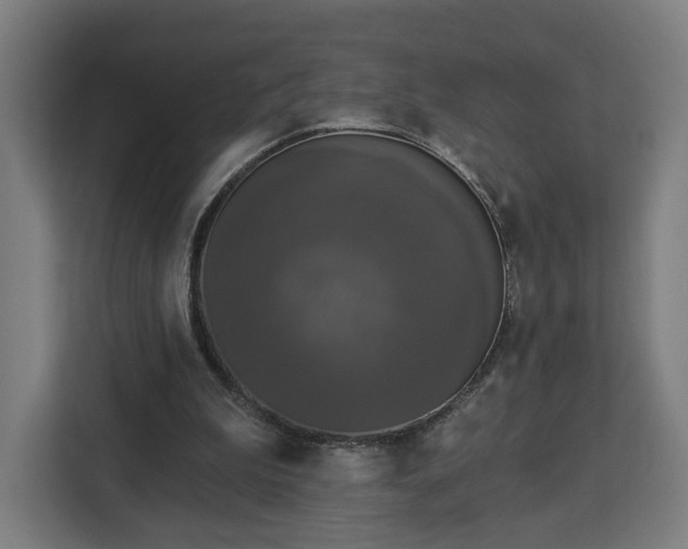 X0000112910199200908311244