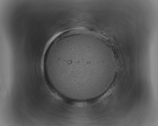 X0000112910200200908311244