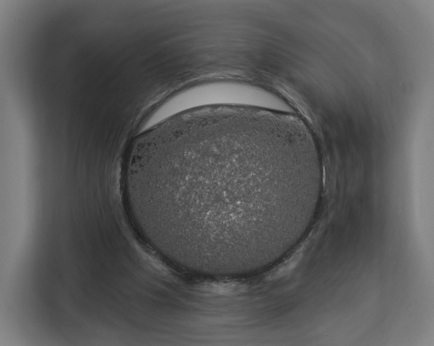 X0000112910201200908311244