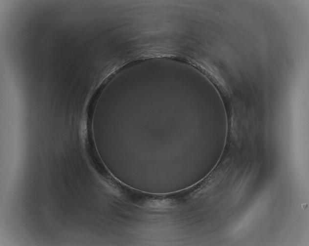 X0000112910202200908311244