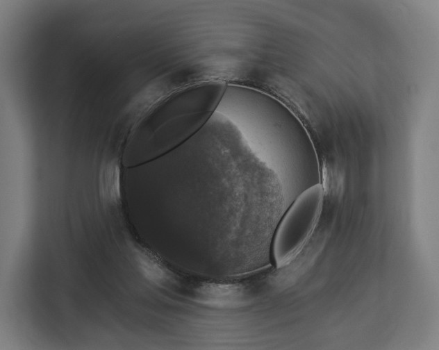 X0000112910205200908311244