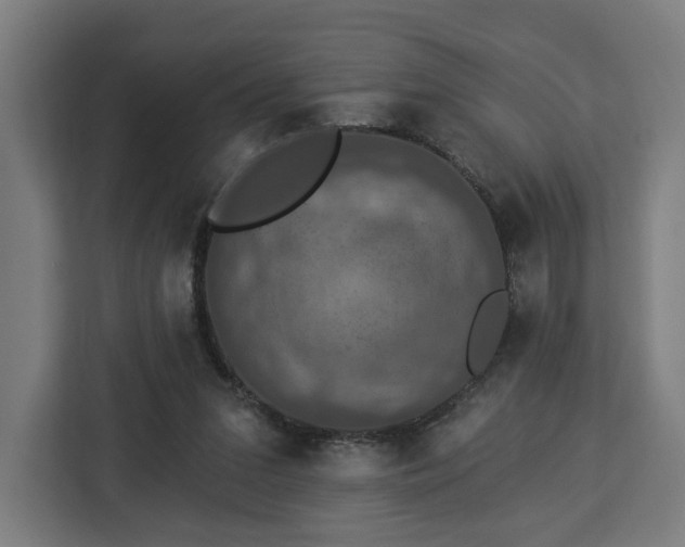 X0000112910207200908311244