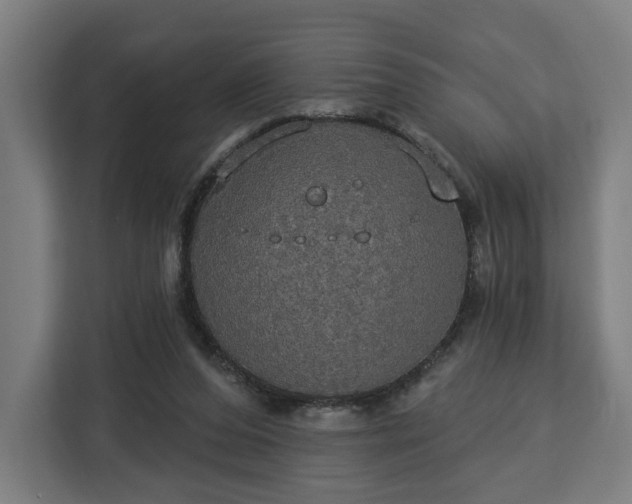 X0000112910208200908311244