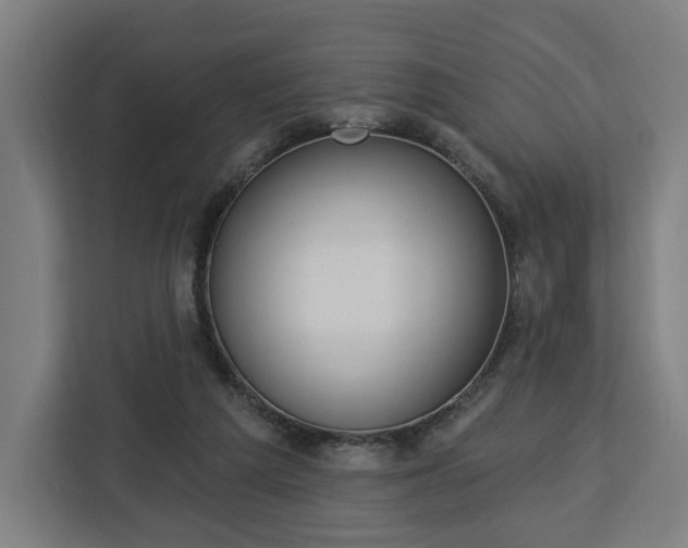 X0000112910209200908311244