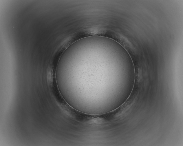 X0000112910210200908311244