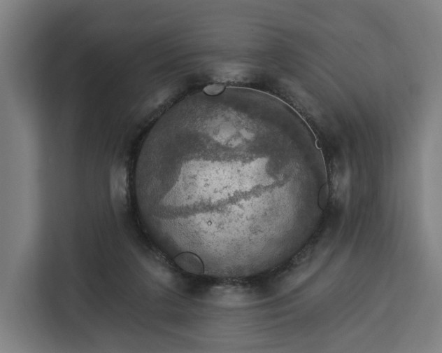 X0000112910211200908311244