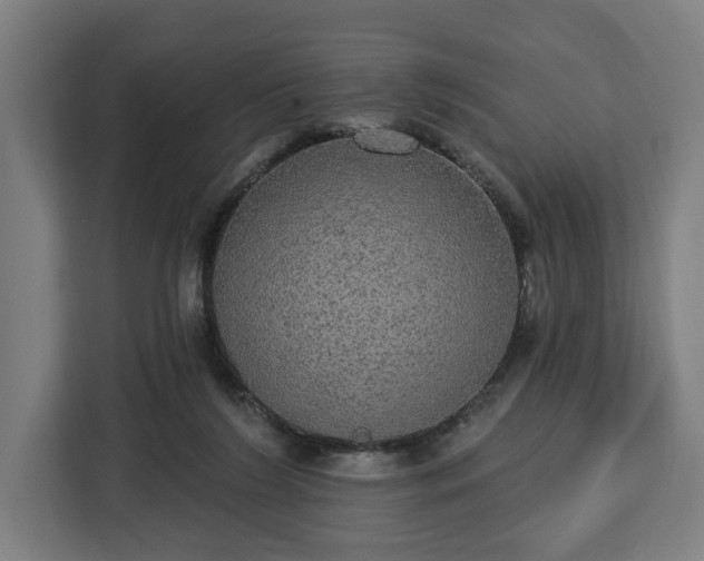 X0000112910212200908311244