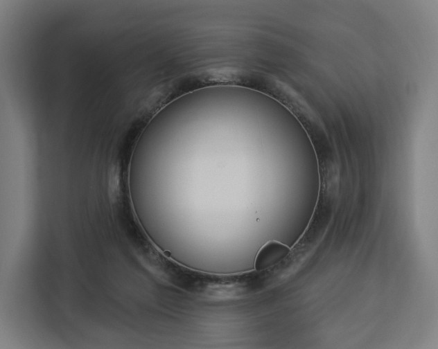 X0000112910213200908311244