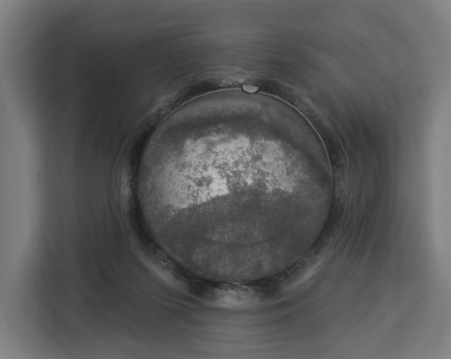 X0000112910215200908311244