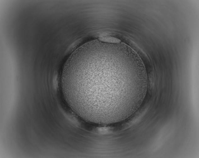 X0000112910216200908311244