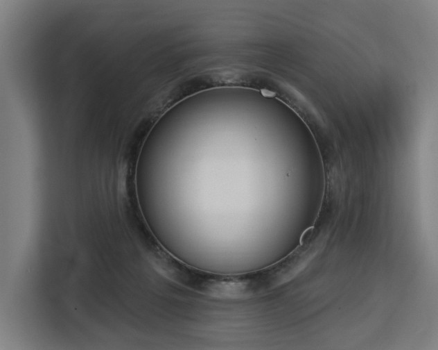 X0000112910217200908311243