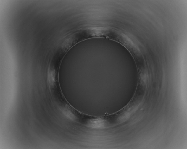 X0000112910219200908311243