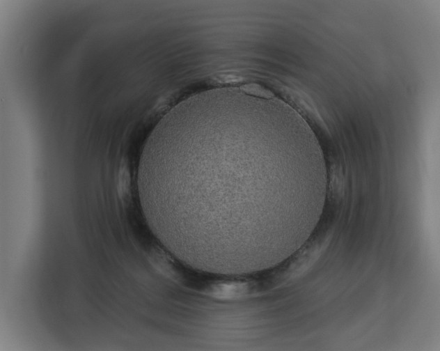 X0000112910220200908311243