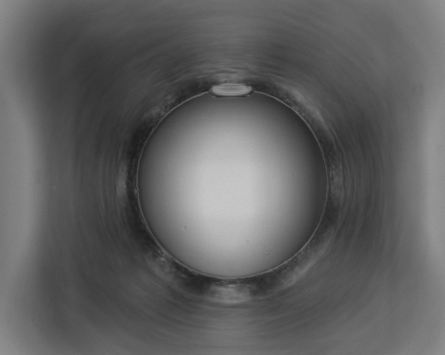 X0000112910221200908311243