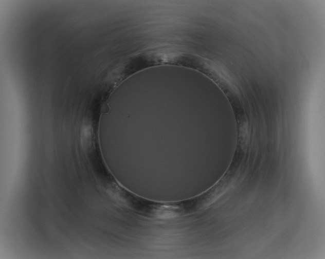 X0000112910222200908311243